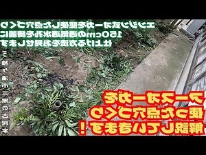 結 滅 点穴